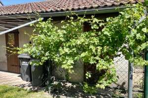 Familienhaus auf idyllischem Grundstück – Die vollständige Adresse der Immobilie erhältst du vom Anbieter., 4849 Laußig – Vorschaubild 4