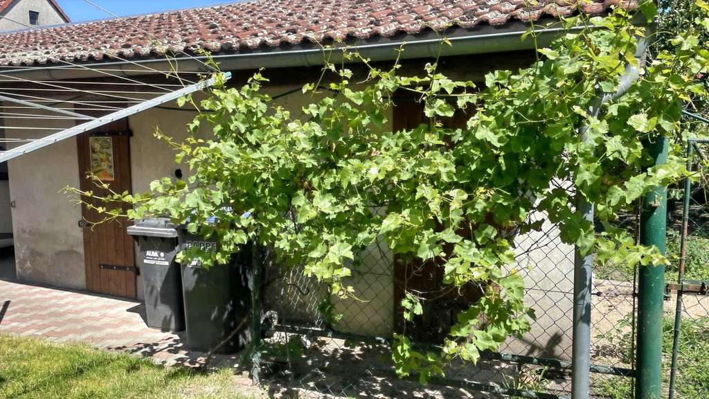 Immobilie in Laußig - Familienhaus auf idyllischem Grundstück - Bild 3