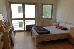 Gemütliche 2-Zimmer-Wohnung in ruhiger Lage von Tolkewitz – 1279 Tolkewitz/Seidnitz-Nord, Dresden – Vorschaubild 2