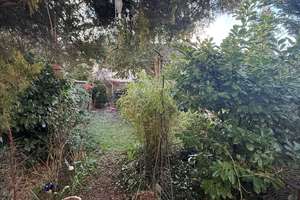 Charmantes Reihenmittelhaus mit Garten in ruhiger Lage – Die vollständige Adresse der Immobilie erhältst du vom Anbieter., 90480 Zerzabelshof, Nürnberg – Vorschaubild 14