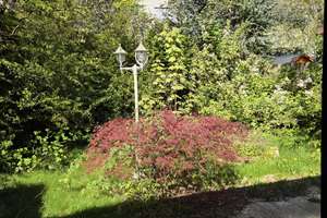 Charmanter Bungalow mit Wintergarten - Verkauf nach Wohnbauflächenvermarktungsrichtlinie – 26382 Innenstadt, Wilhelmshaven – Vorschaubild 5