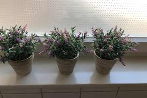 Property thumbnail 7