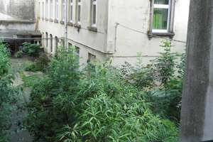 Individualistisches Appartement in zentraler, aber ruhiger Lage – Uellendahlerstraße 26a, 42107 Elberfeld, Wuppertal – Vorschaubild 3