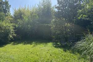 Familienidylle in Rheinnähe - Großzügiges EFH mit Traumgarten in TOP-Wohnlage (Seitenstraße) – Die vollständige Adresse der Immobilie erhältst du vom Anbieter., 53179 Mehlem, Bonn – Vorschaubild 23