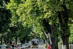Wohnen, wo Berlin Urlaub macht ! Wilhelmshagen das Naturparadies mit urbaner Nähe  – Die vollständige Adresse der Immobilie erhältst du vom Anbieter., 12589 Rahnsdorf, Berlin – Vorschaubild 8