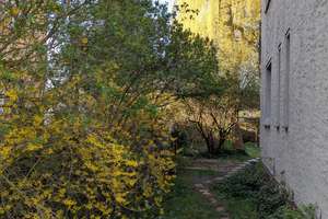 Großzügiges Mehrgenerationenhaus (10 Zimmer) mit Wintergarten, Kaminofen und Sauna - Provisionsfrei! – Die vollständige Adresse der Immobilie erhältst du vom Anbieter., 12621 Kaulsdorf, Berlin – Vorschaubild 4