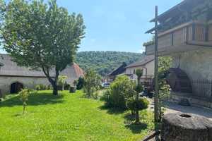 Die besondere Immobilie -vielseitig nutzbar -direkt an der Schweizer Grenze für Pferdeliebhaber/Hand – Waldshut (Kreis) – Vorschaubild 16