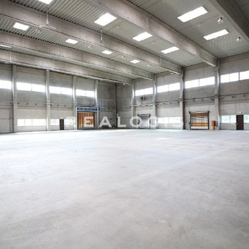 PROVISIONSFREI | Ca. 2.500 qm Lager / Logistik | Rampen + ebenerdige | 11 m UKB !