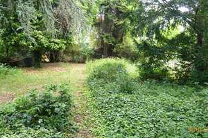 + Darmstadt-Arheilgen mit großem Gartenparadies - Freistehend mit Garagen und großem Garten + – Die vollständige Adresse der Immobilie erhältst du vom Anbieter., 64293 Darmstadt-Nord, Darmstadt – Vorschaubild 2