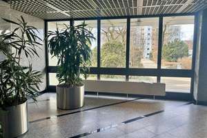 Großzügige 3-Zimmer Wohnung mit Balkon – Die vollständige Adresse der Immobilie erhältst du vom Anbieter., 42113 Uellendahl-Katernberg, Wuppertal – Vorschaubild 2