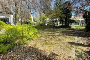 Dorfaue Marienfelde, nahe Gutspark, Bungalow ! Massivbau ! – Die vollständige Adresse der Immobilie erhältst du vom Anbieter., 12277 Marienfelde, Berlin – Vorschaubild 3