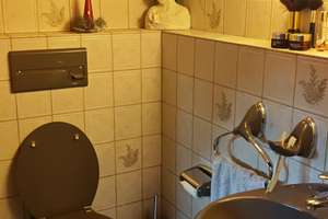 Modernisiertes Reihenmittelhaus: Kompakt und gut geschnitten in Braunschweig – Helgolandstr 47, 38108 Schunteraue, Braunschweig – Vorschaubild 16