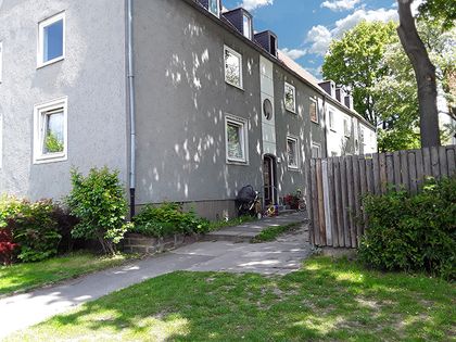 Single wohnung salzgitter