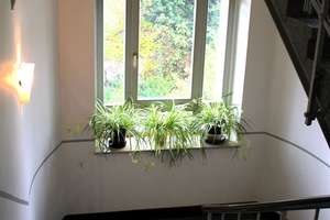 ***Hübsche kleine 1- Raum Wohnung sucht Kapitalanleger !TOP Preis! vermietet*** – Glockenstraße 8, 9130 Sonnenberg, Chemnitz – Vorschaubild 5