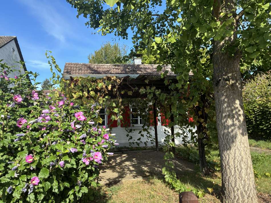 Vorgarten mit Freisitz