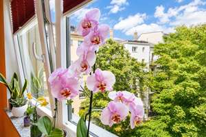 Eigennutzung: Moderne Eigentumswohnung mit Balkon und PKW-Stellplatz in Leipzig-Eutritzsch – Die vollständige Adresse der Immobilie erhältst du vom Anbieter., 4129 Eutritzsch, Leipzig – Vorschaubild 2