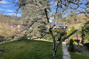 Einfamilienhaus mit herrlichem Grundstück und Blick ins Grüne! – Miltenberg (Kreis) – Vorschaubild 5