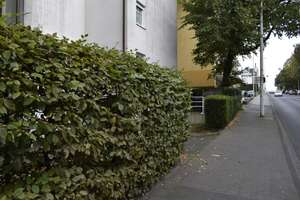 Lichtdurchflutete 3-Zimmer-Wohnung mit Balkon, Aufzug, Garage & neuwertiger Einbauküche – 42653 Gräfrath, Solingen – Vorschaubild 2