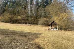 Lust auf Landleben? Im Sommer Ihr neues Zuhause! – Wunsiedel im Fichtelgebirge (Kreis) – Vorschaubild 4