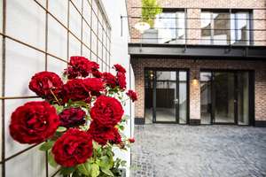 Property thumbnail 34