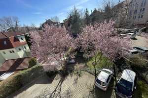 Property thumbnail 13