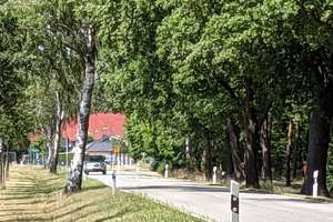  Effizienzhaus mit Wärmepumpe mit 4 Zimmern , EBK + Garage  in Wald-und Seenähe in Ferchesar – Semliner Weg 5c, 14715 Stechow-Ferchesar – Vorschaubild 21