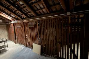 Attraktive 3-Zimmer-Wohnung in Frankfurt-Niederrad – 60528 Niederrad, Frankfurt am Main – Vorschaubild 15
