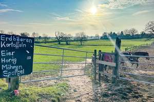 Wohnambiente und Natur - 
Stilvolles Reihenhaus am Uettelsheimer See – Die vollständige Adresse der Immobilie erhältst du vom Anbieter., 47199 Hochheide, Duisburg – Vorschaubild 28