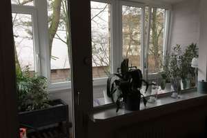 Schöne 2-Zimmer-Wohnung in Hannover – Linsingenstraße 7, 30163 Vahrenwald, Hannover – Vorschaubild 11