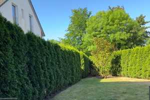 Energieeffizientes Haus mit Elbblick (verkauft !)  – Harburg (Kreis) – Vorschaubild 7