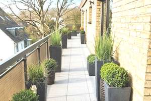 Property thumbnail 21