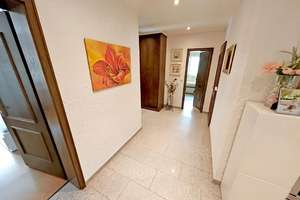 Balkon - un-ein-seh-bar mit Blick ins Güne, --frei ab Oktober. ! – Die vollständige Adresse der Immobilie erhältst du vom Anbieter., 69126 Rohrbach, Heidelberg – Vorschaubild 15