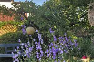 Zweifamilienhaus mit verwunschenem Garten in Bielefeld-Schildesche – Bielefeld – Vorschaubild 25