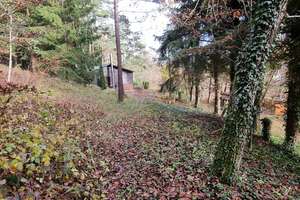 Kanada-Flair-Waldbaden und Auszeit genießen im Ferienhaus mit Nebengebäude u. Garage in Waldrandlage – Die vollständige Adresse der Immobilie erhältst du vom Anbieter., 92259 Neukirchen bei Sulzbach-Rosenberg – Vorschaubild 26