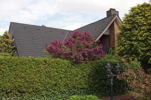 Einfamilienhaus in Top-Lage nahe der Grenze zu Lübeck und Bad Schwartau. Provisionsfrei. – Die vollständige Adresse der Immobilie erhältst du vom Anbieter., 23617 Stockelsdorf – Vorschaubild 3