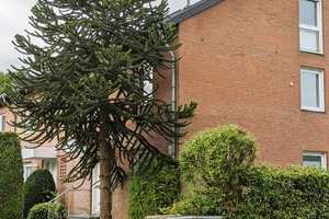 Handwerker aufgepasst! REH am Althausweg mit kleinem Garten – Münster – Vorschaubild 4