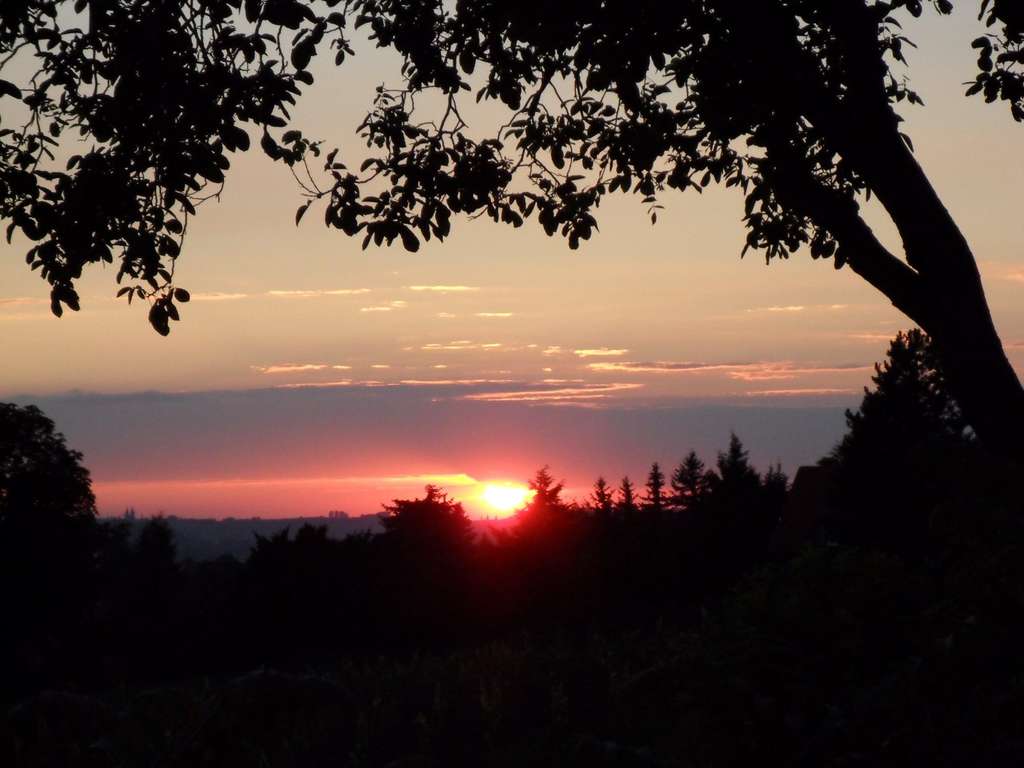 Immobilie in Ehrenfriedersdorf - BALD KÖNNEN IHRE KINDER JEDEN TAG MIT OMA UND OPA SPIELEN!                            - Bild 0