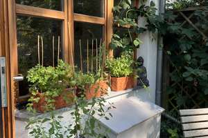 Property thumbnail 40