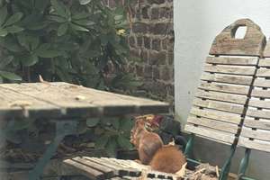 Property thumbnail 10