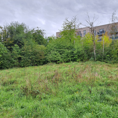 Grundstück kaufen in Dresden ImmoScout24