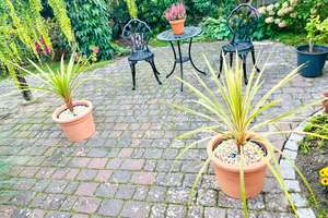 Großzügiges EFH mit Paradiesgarten in familienfreundlicher Lage - Provisionsfrei – Die vollständige Adresse der Immobilie erhältst du vom Anbieter., 21706 Drochtersen – Vorschaubild 3
