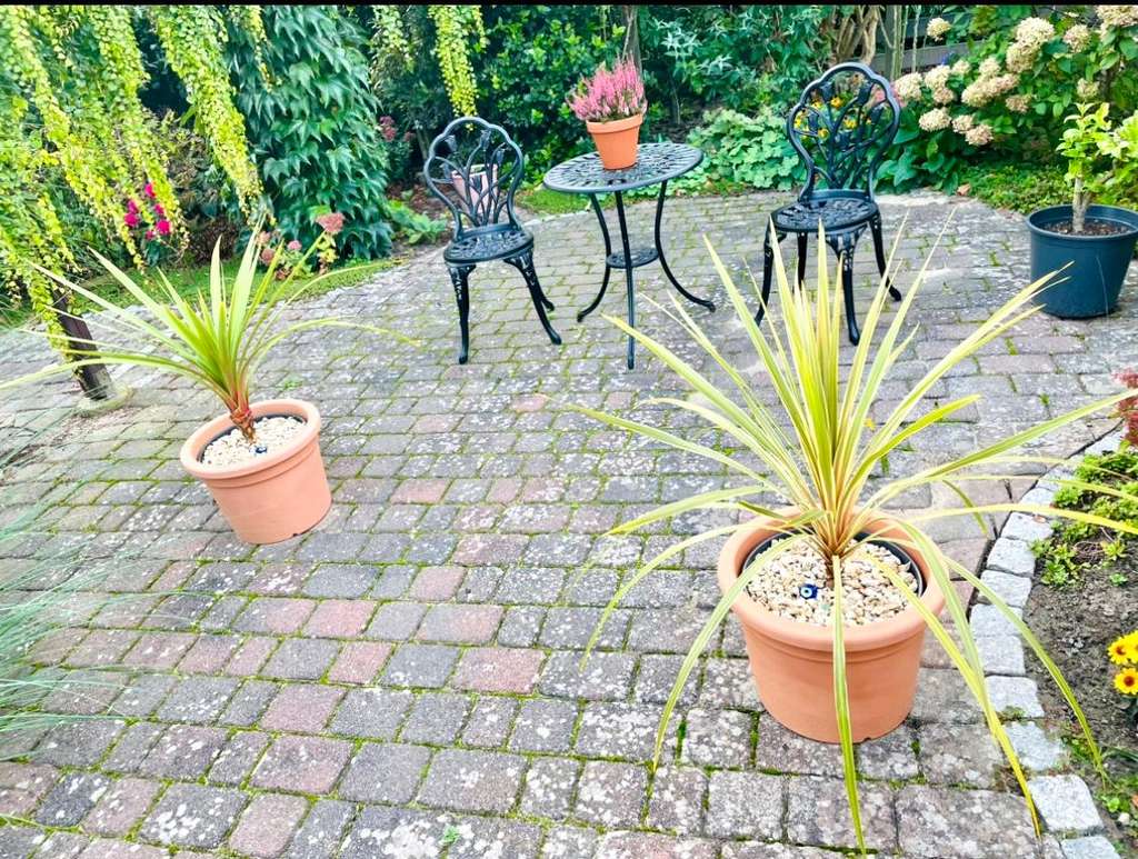 Immobilie in Drochtersen - Großzügiges EFH mit Paradiesgarten in familienfreundlicher Lage - Provisionsfrei - Bild 2
