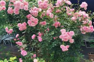 Property thumbnail 43