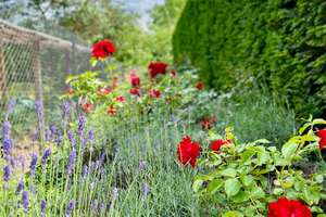 Property thumbnail 14