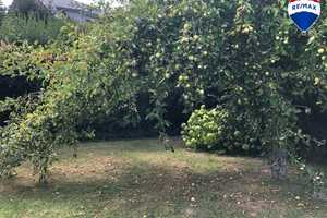 Viel Platz zum Leben, Feiern und Genießen – großzügiges Einfamilienhaus  in Obernkirchen-Röhrkasten – Schaumburg (Kreis) – Vorschaubild 26