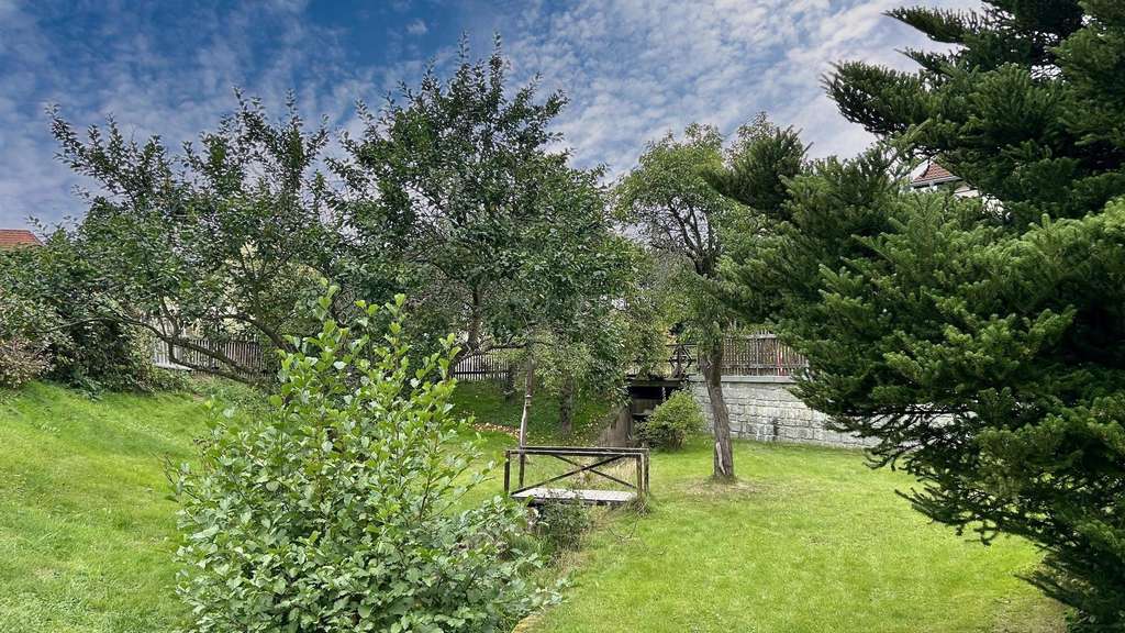 Immobilie in Falkenstein/Vogtland - Für Liebhaber und Naturfreunde - Bild 3