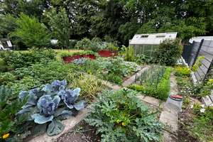 Property thumbnail 11