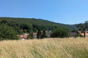 Einmalige Chance: Hofreite mit Nebengebäuden & Stallungen am Ortsrand in unmittelbarer Naturnähe! – Die vollständige Adresse der Immobilie erhältst du vom Anbieter., 64711 Erbach – Vorschaubild 16