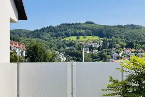 Familienidyll mit Ausblick 
in Altenbach:
Haus mit Einliegerwohnung und flexibler Nutzung – Abtsweg 21, 69198 Rhein-Neckar-Kreis – Vorschaubild 5