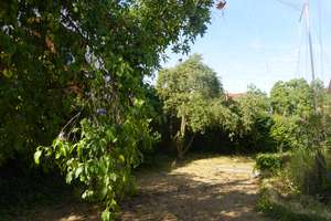 Viel Platz für den Alltag in diesem Mehrfamilienhaus in Ludwigshafen – 67071 Ruchheim, Ludwigshafen am Rhein – Vorschaubild 13